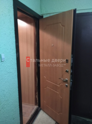 Фото двери №93