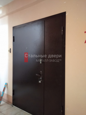 Фото двери №117