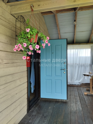 Фото двери №411